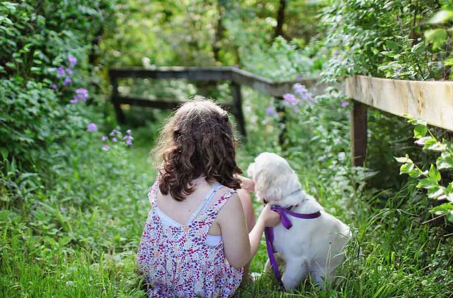 Un enfant et un chien dans un jardin